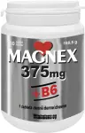 3885_MAGNEX 375 MG + B6 180 TBL.